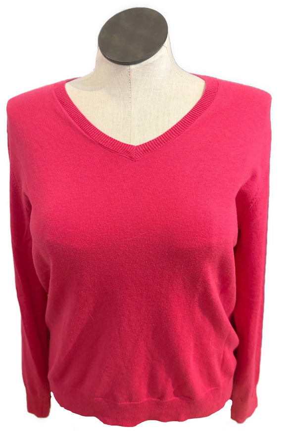 Daily Sports V-Neck Sweater Size L MSP$190